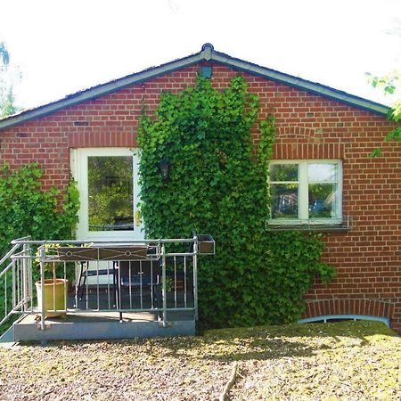 FeWo Tilda m. Sauna Garlstorf  Exterior foto